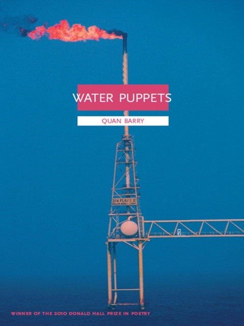 Cover image for book Water Puppets
