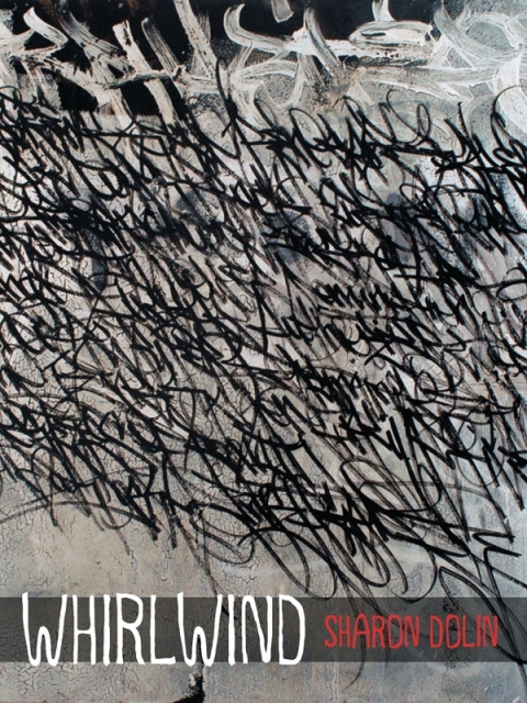 Cover image for book Whirlwind
