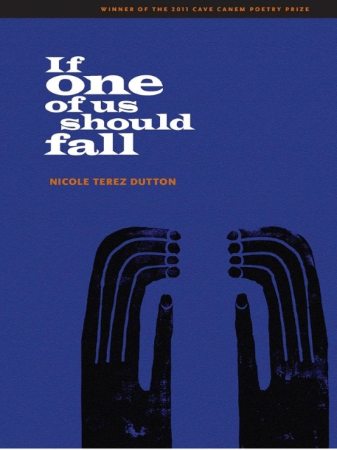 Cover image for book If One of Us Should Fall