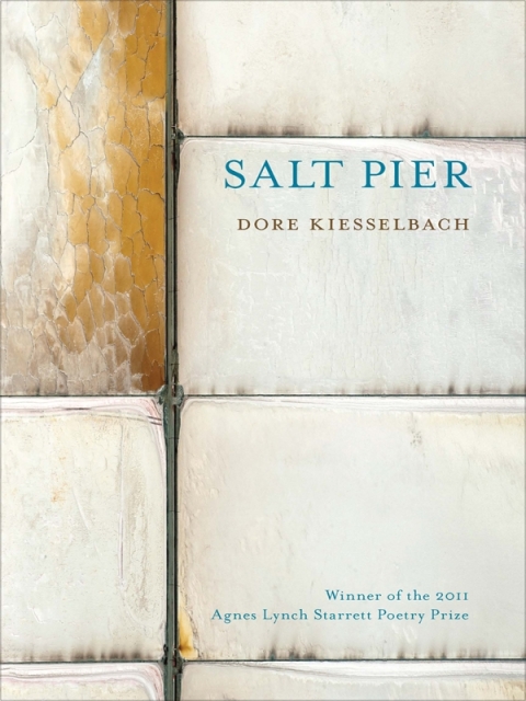 Cover image for book Salt Pier