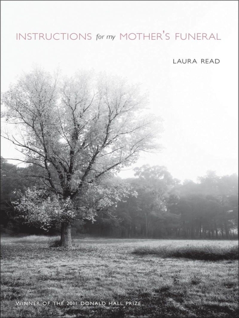 Cover image for book Instructions for My Mother's Funeral