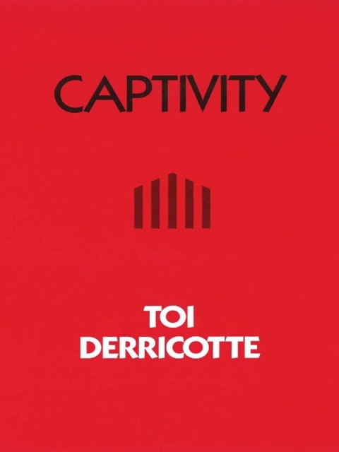 Cover image for book Captivity