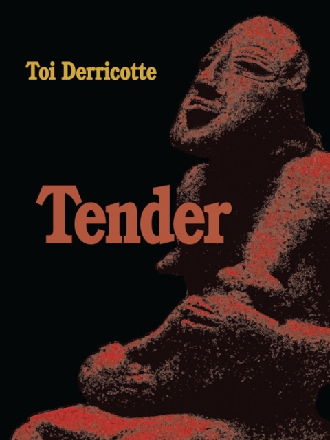 Cover image for book Tender