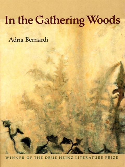 Cover image for book In the Gathering Woods