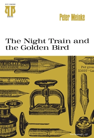 The Night Train and the Golden Bird