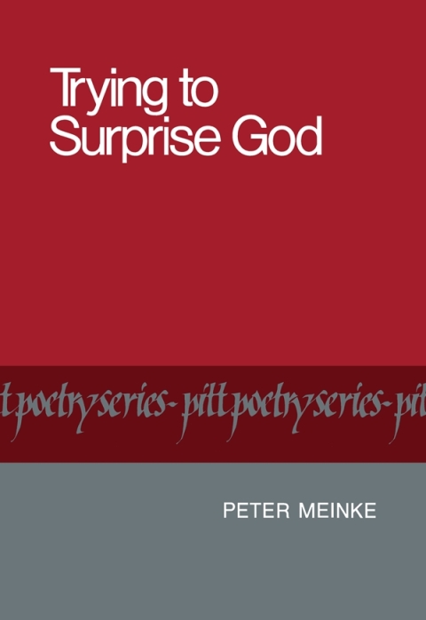 Cover image for book Trying to Surprise God