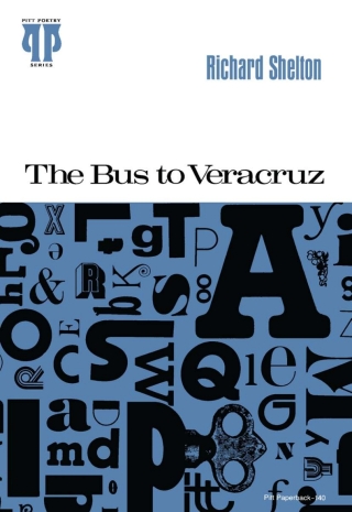 The Bus to Veracruz