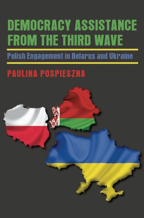 Cover image for book Democracy Assistance from the Third Wave