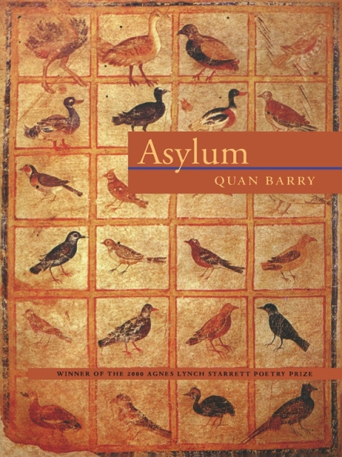 Cover image for book Asylum