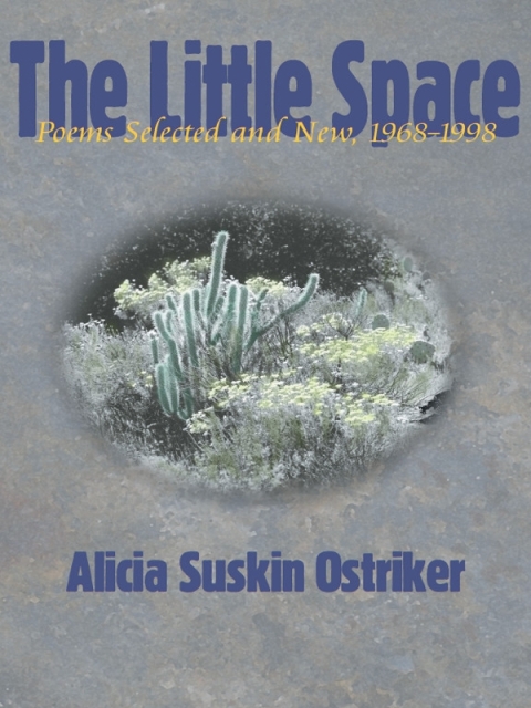 Cover image for book The Little Space