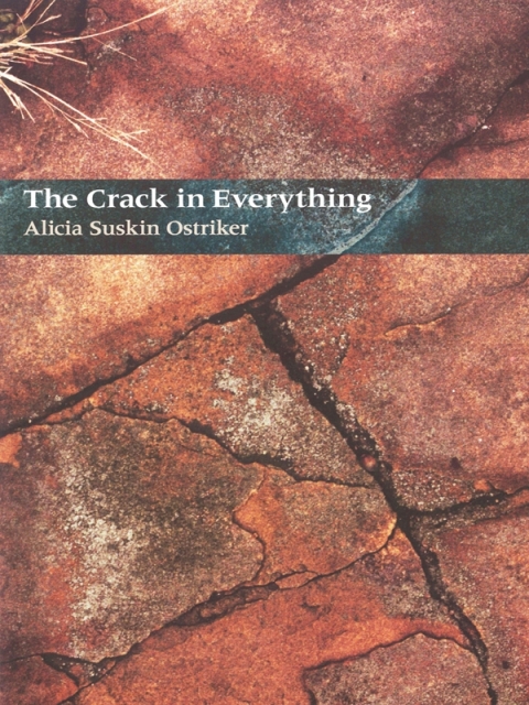 Cover image for book The Crack In Everything