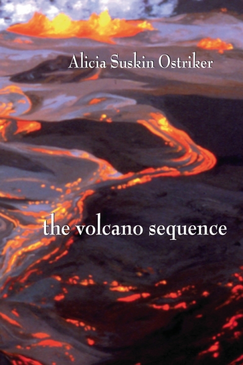 Cover image for book The Volcano Sequence
