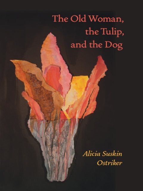 Cover image for book The Old Woman, the Tulip, and the Dog
