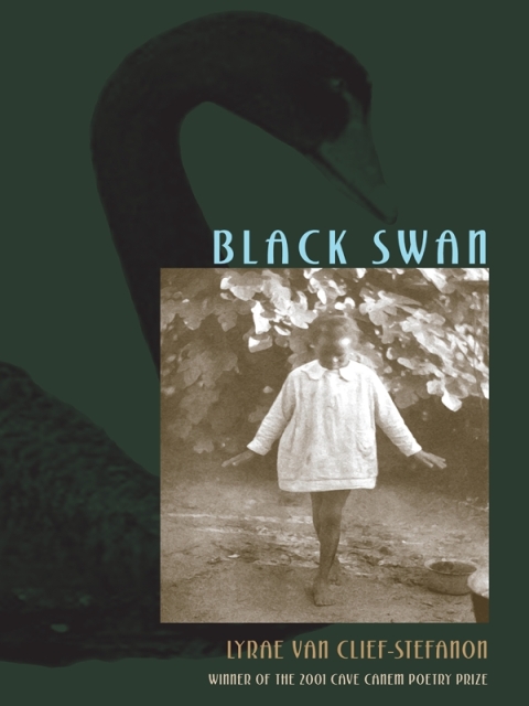 Cover image for book Black Swan