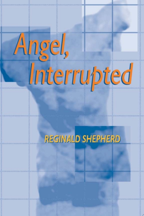 Cover image for book Angel, Interrupted