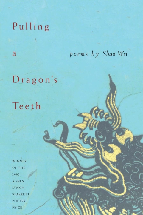 Cover image for book Pulling A Dragon's Teeth