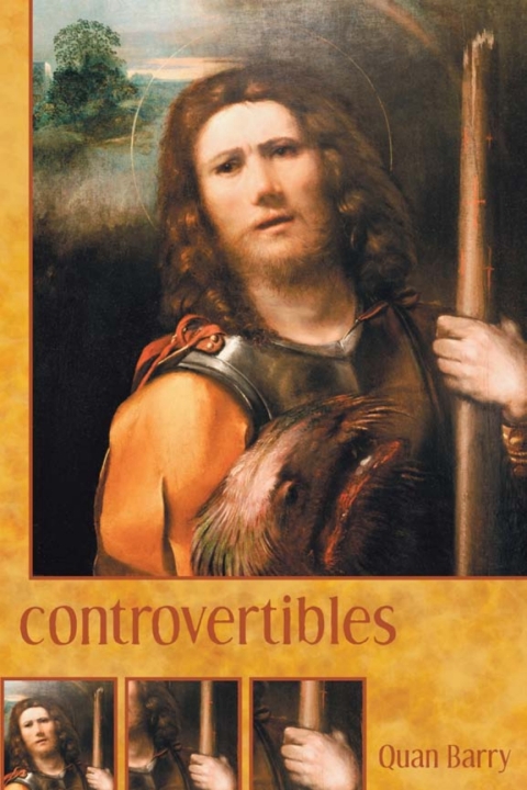 Cover image for book Controvertibles