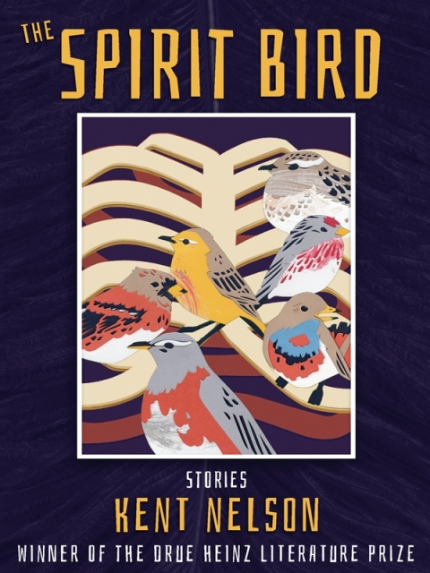 Cover image for book The Spirit Bird