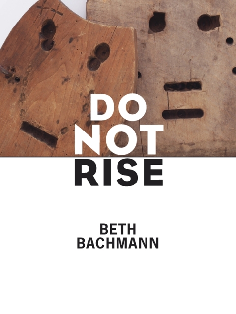 Cover image for book Do Not Rise