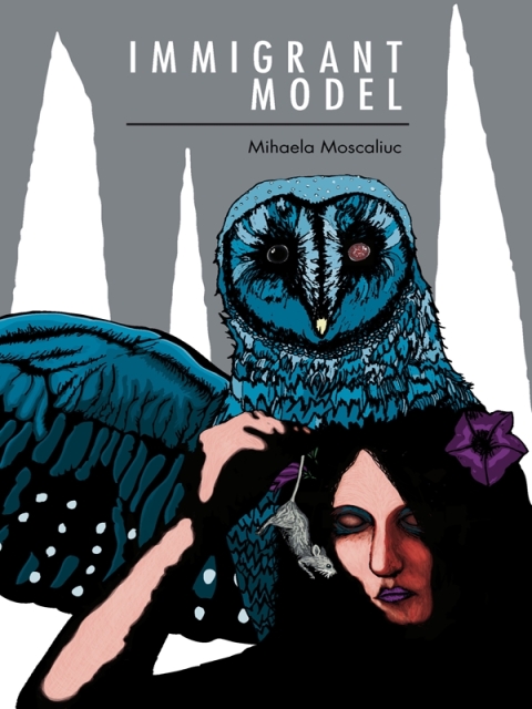 Cover image for book Immigrant Model