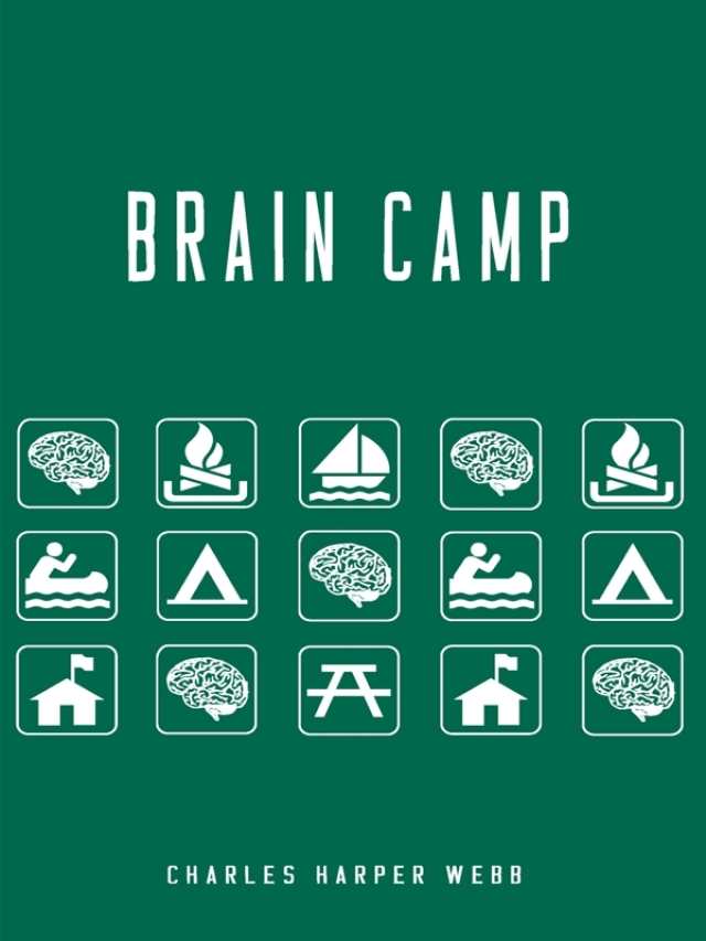 Brain Camp
