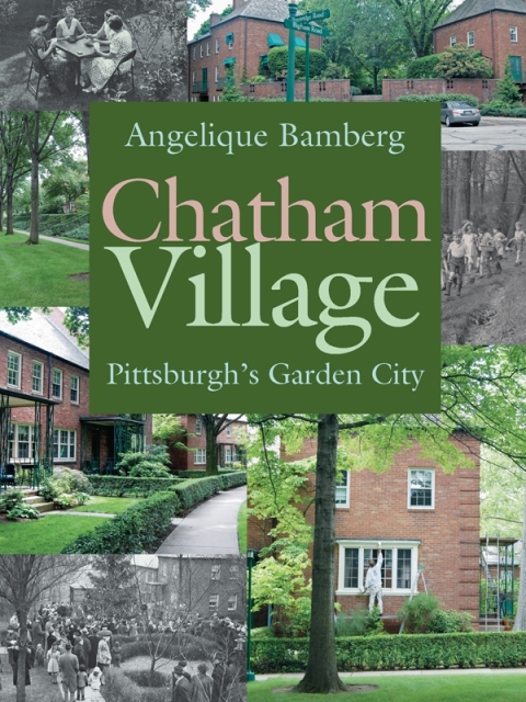 Cover image for book Chatham Village