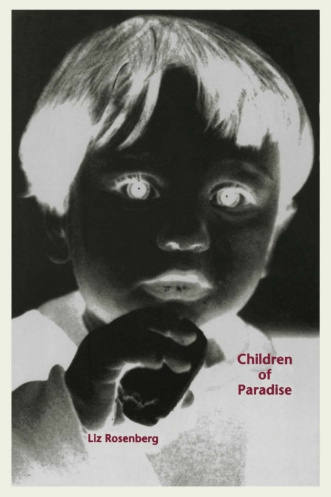 Cover image for book Children Of Paradise