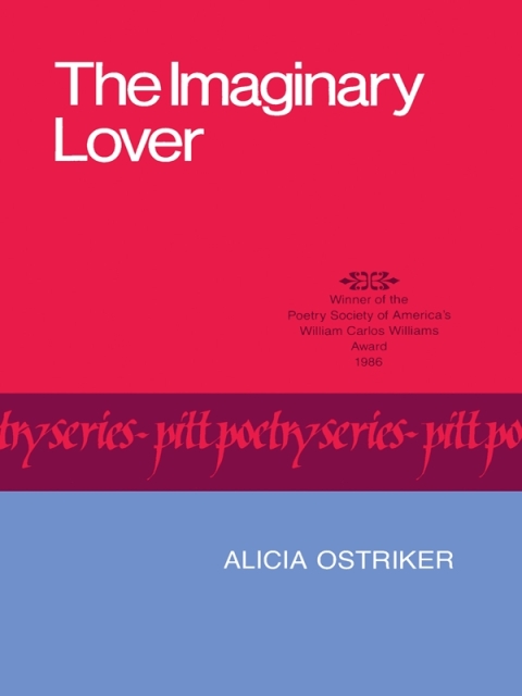 Cover image for book The Imaginary Lover