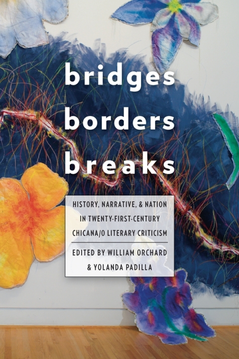 Cover image for book Bridges, Borders, and Breaks