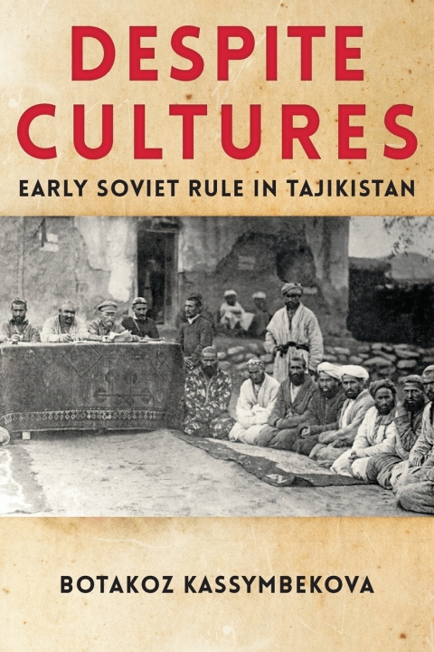 Cover image for book Despite Cultures
