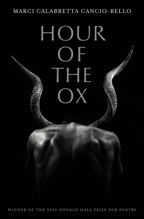 Cover image for book Hour of the Ox
