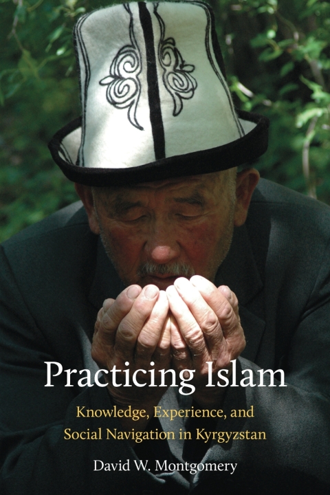 Cover image for book Practicing Islam