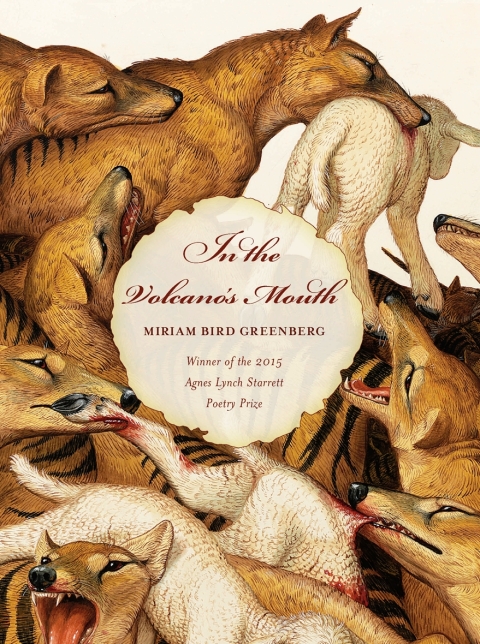 Cover image for book In the Volcano's Mouth
