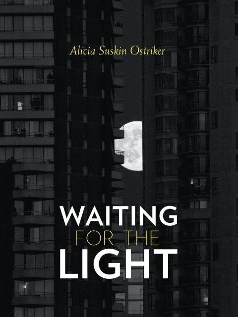 Cover image for book Waiting for the Light