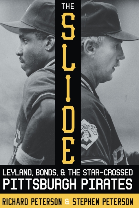 Cover image for book The Slide