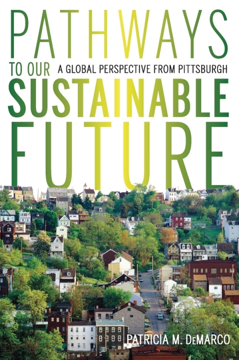 Cover image for book Pathways to Our Sustainable Future
