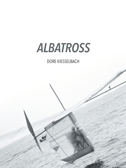 Cover image for book Albatross