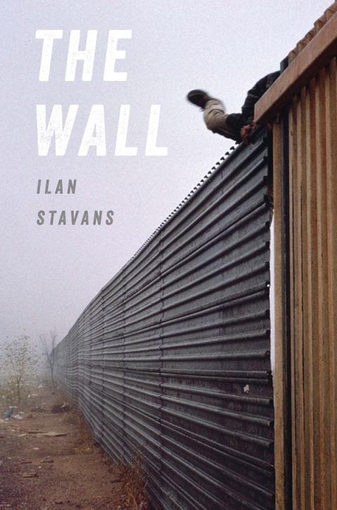 Cover image for book The Wall