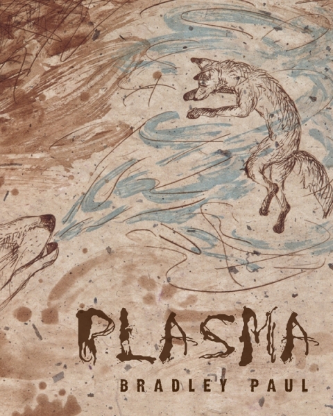 Cover image for book Plasma