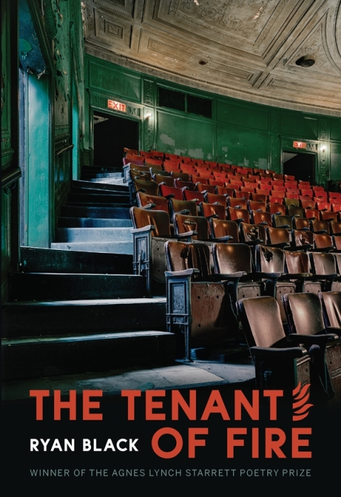 Cover image for book Tenant of Fire, The