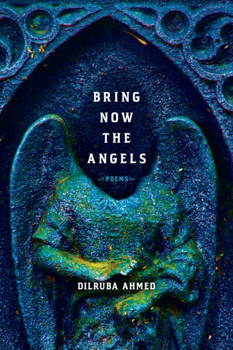 Cover image for book Bring Now the Angels
