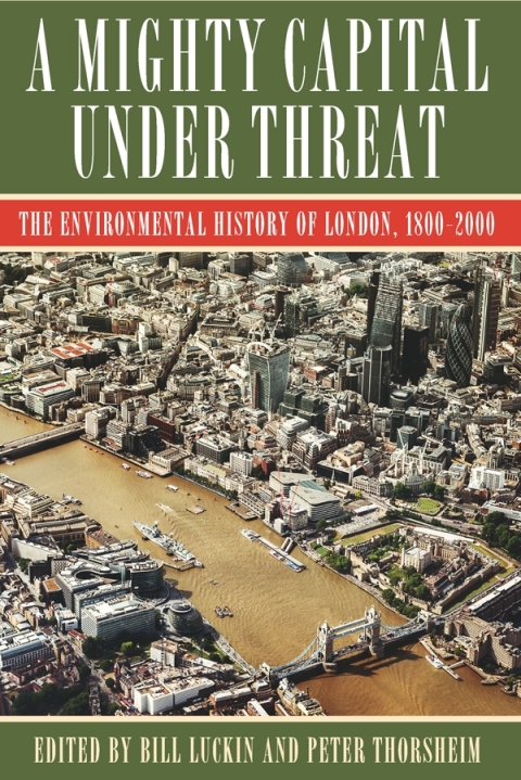 Cover image for book A Mighty Capital under Threat