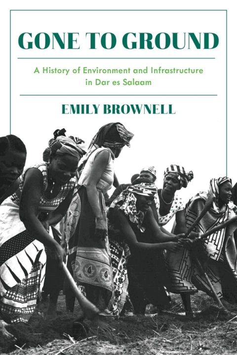Cover image for book Gone to Ground