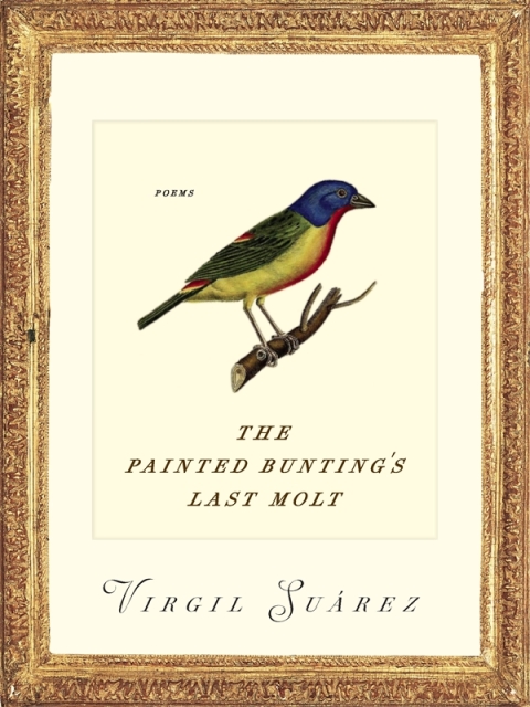 Cover image for book The Painted Bunting's Last Molt