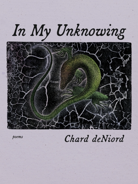 In My Unknowing 