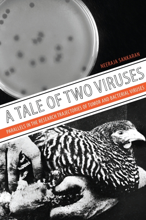 Cover image for book A Tale of Two Viruses