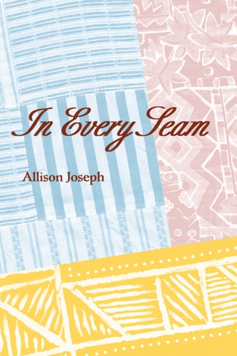 Cover image for book In Every Seam