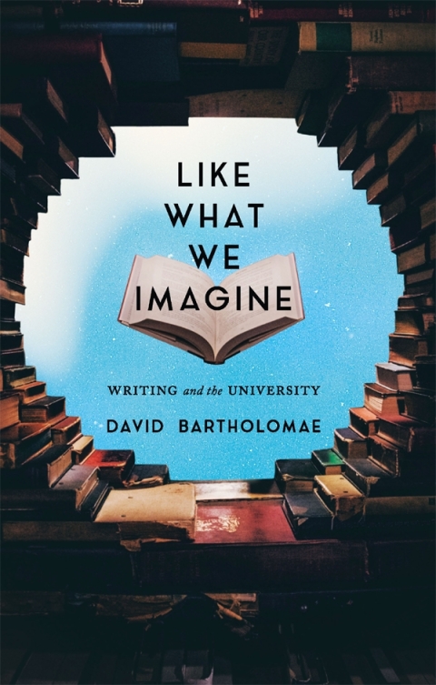 Cover image for book Like What We Imagine