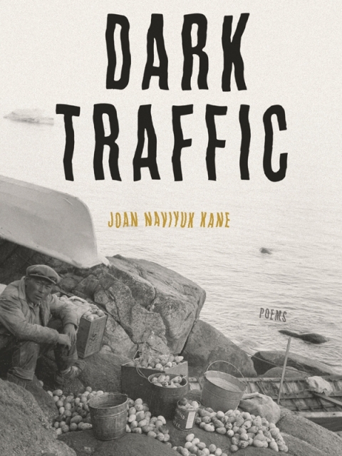 Cover image for book Dark Traffic