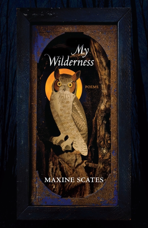 Cover image for book My Wilderness